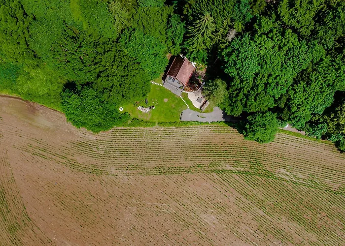 Chalet U Tří Lišek - Na Samotě U Lesa